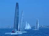 A-Cats racing on Alamitos Bay