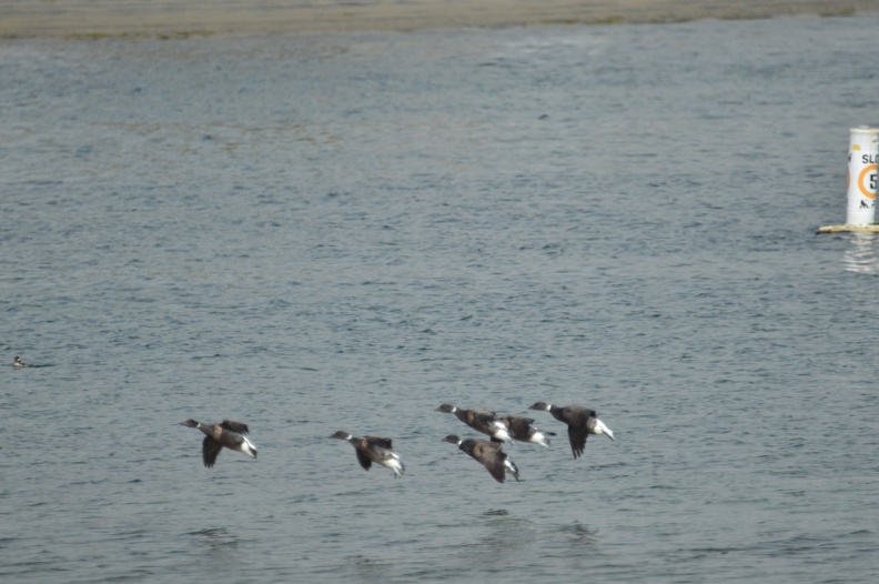 DSC_0007.JPG