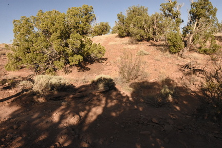 snowflake 2023 sat 6374