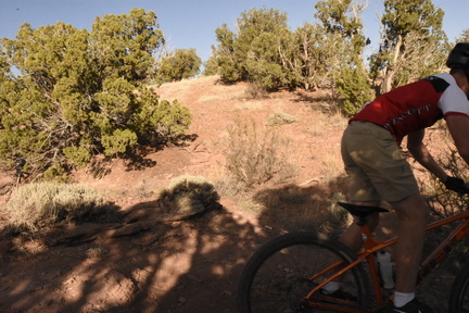 snowflake 2023 sat 6393