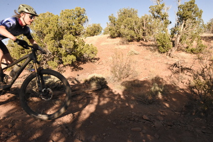 snowflake 2023 sat 6408