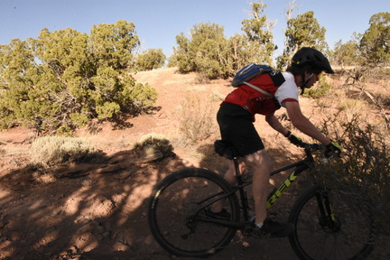 snowflake 2023 sat 6640