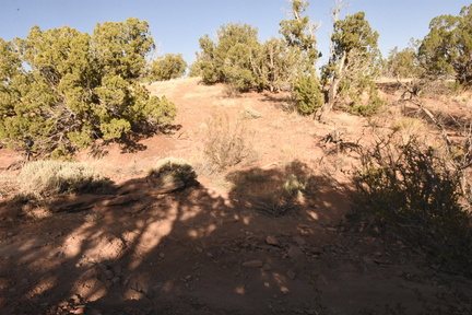 snowflake 2023 sat 6780