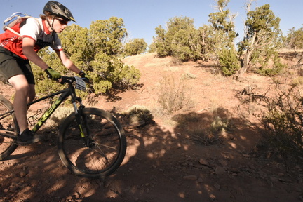 snowflake 2023 sat 6827