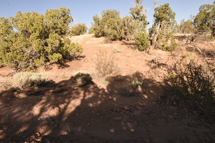 snowflake 2023 sat 6846