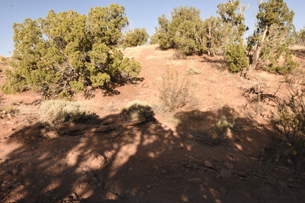 snowflake 2023 sat 6930