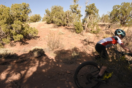 snowflake 2023 sat 6982