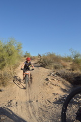 mcdowell 2023 sat 7317