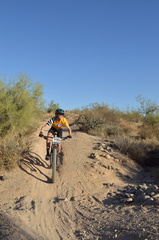 mcdowell 2023 sat 7344