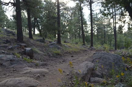 flagstaff 2024 sat 20240907 07253410