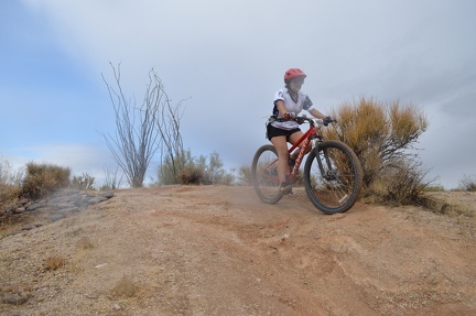 mcdowell 2024 sat 20241019 092826.00